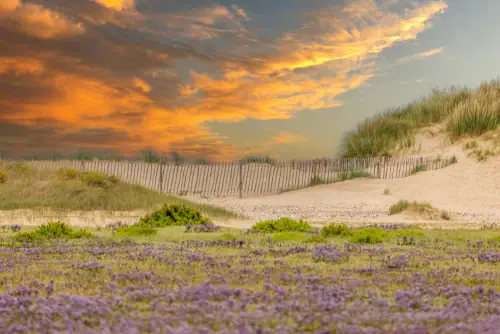 Norfolk and Suffolk Coast